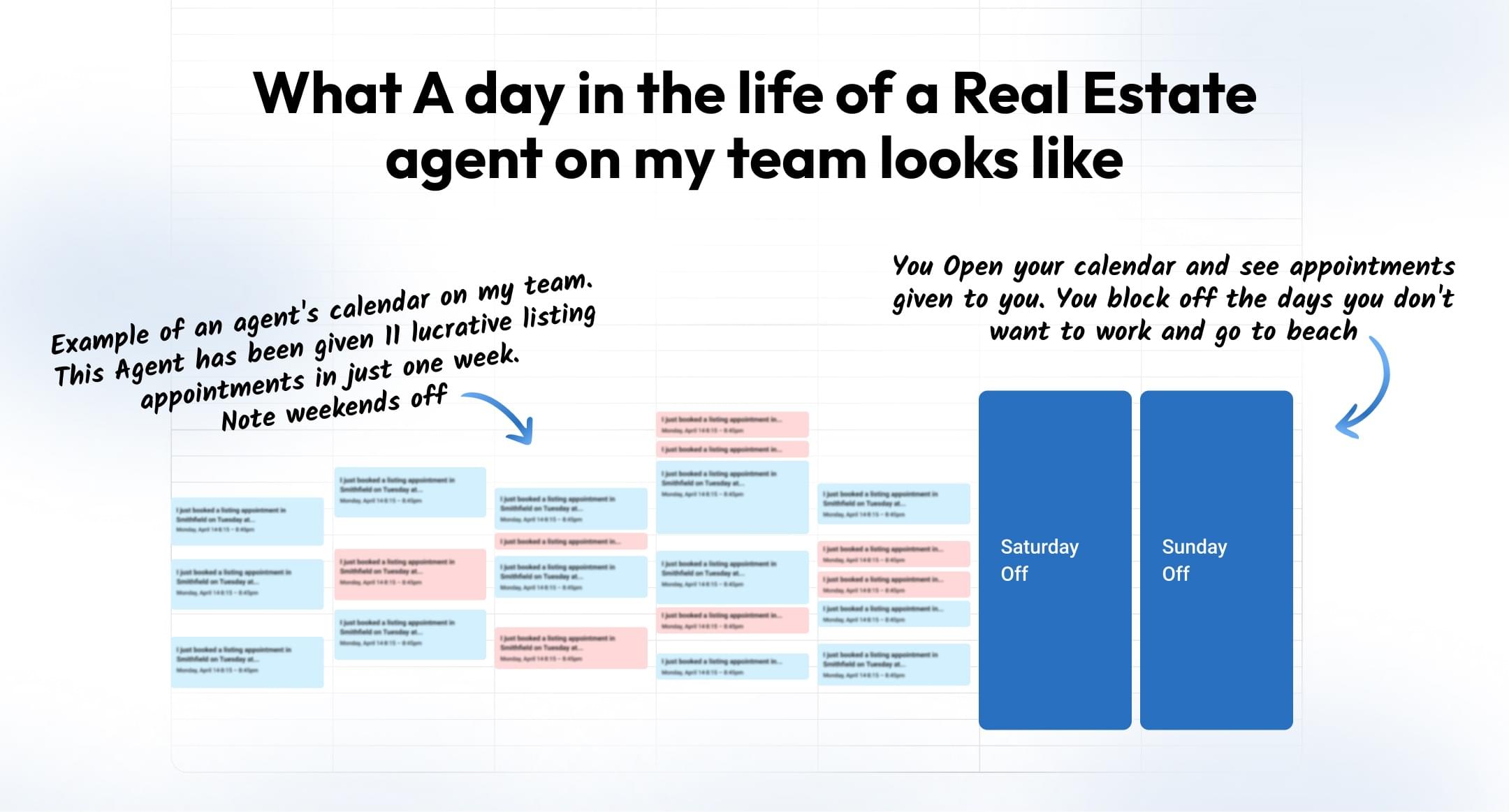 Example of a full appointment calendar